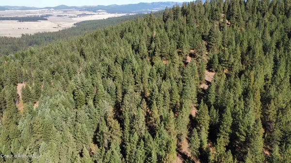 $179,000 | 2 Dole Camp Road, Desmet, ID 83824