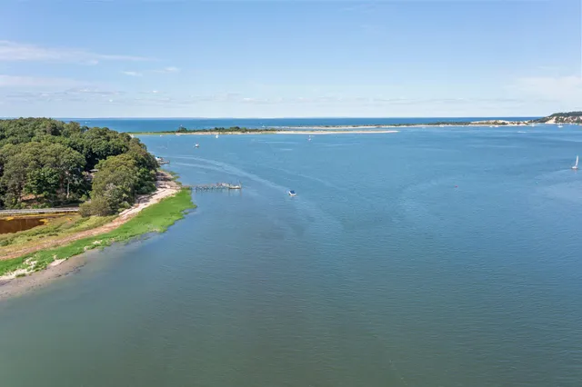 a view of a field with a tree
