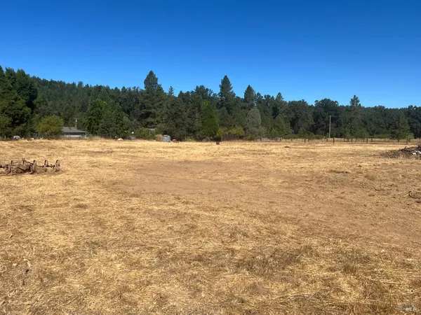 $249,000 | 46145 Meadow Lane North, Laytonville, CA 95454