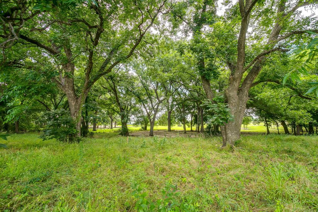 301 Dixon Road Aledo, TX 76008 - Photo 19 of 25