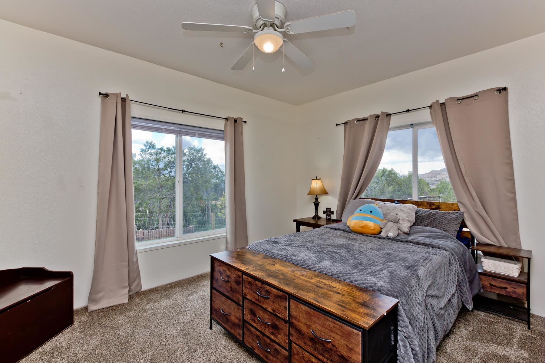 12303-54 54 7/10 Road Molina, CO 81646 - Photo 25 of 42