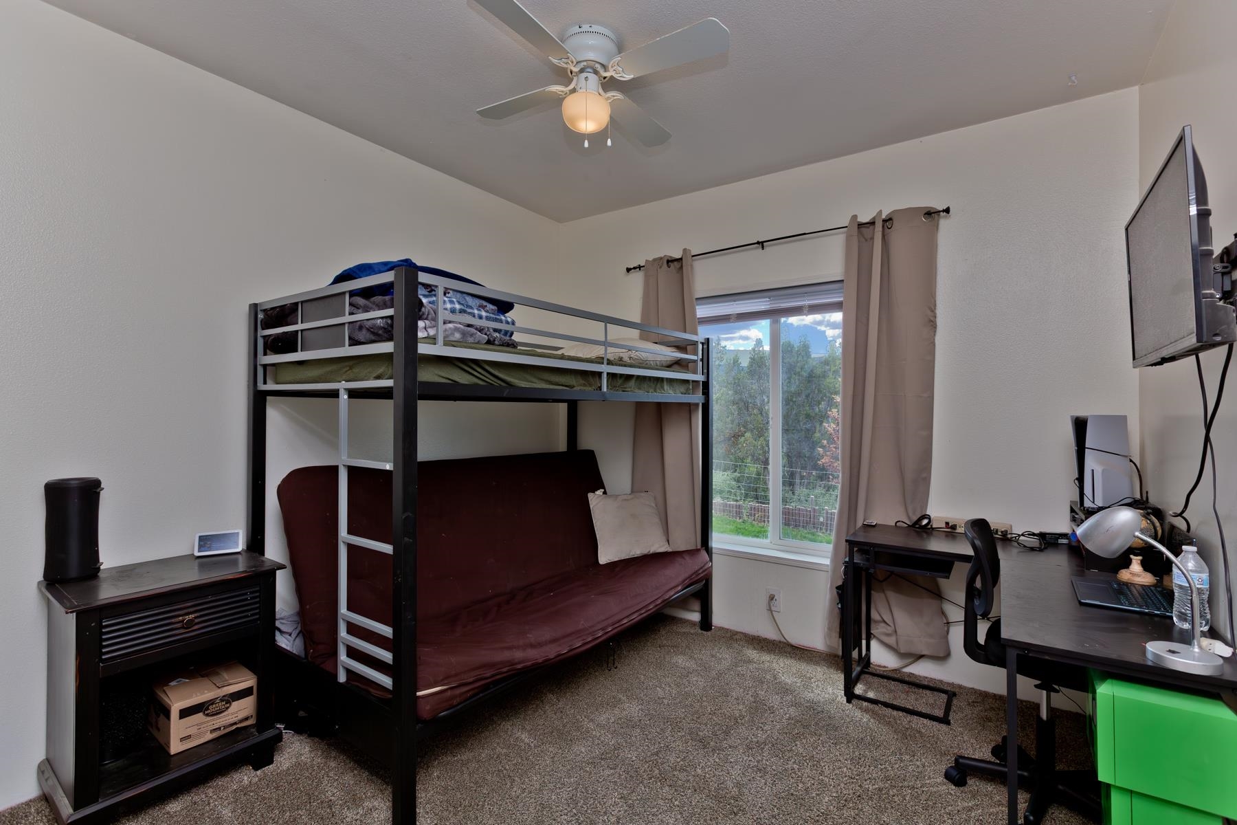 12303-54 54 7/10 Road Molina, CO 81646 - Photo 29 of 42
