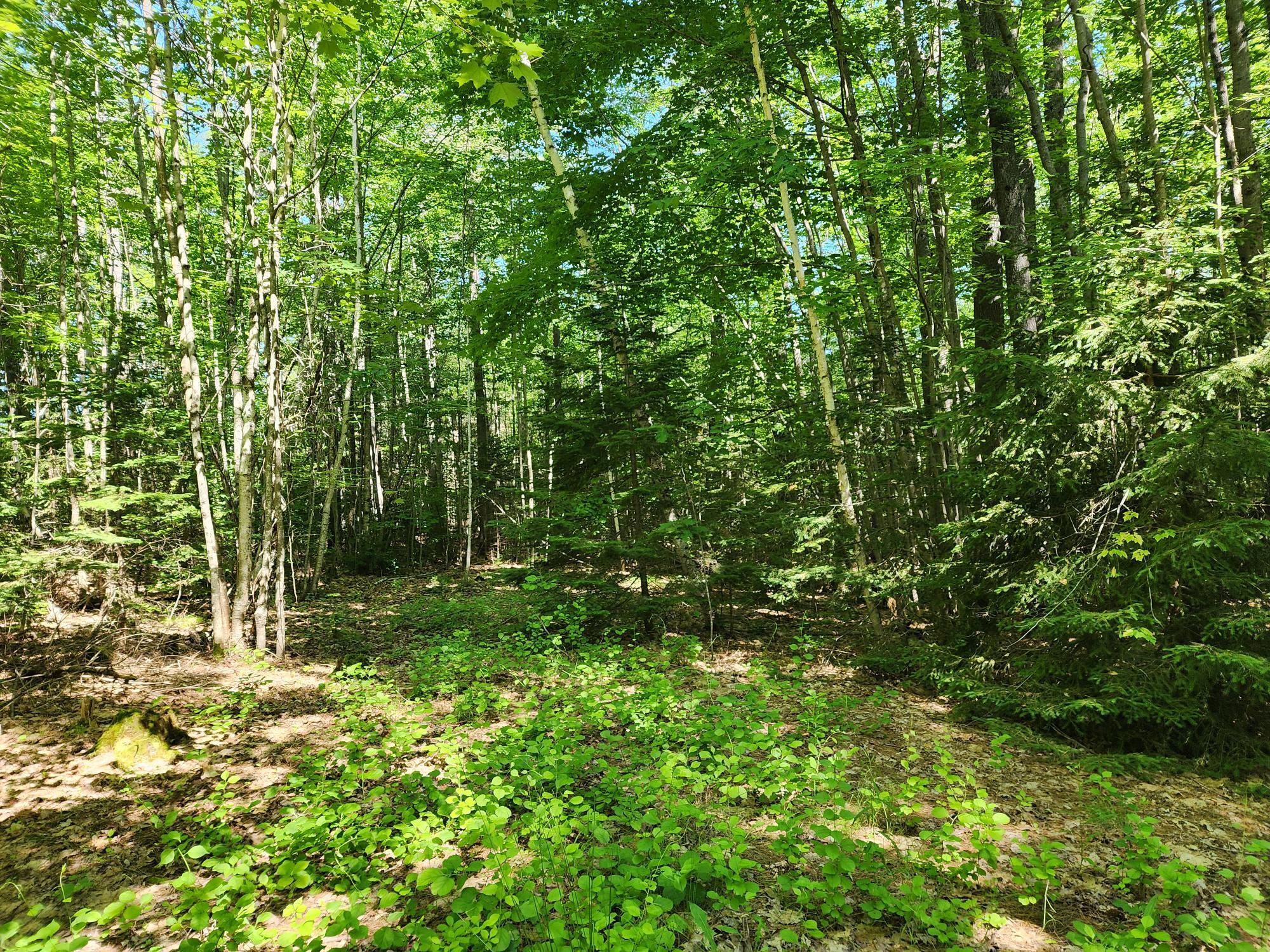 409 Mill Hill Road Waterford, ME 04088 - Photo 1 of 5 20230622_095223