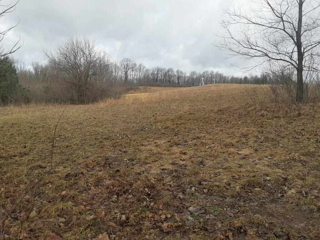 38-acres East Hazel Road Mears, MI 49436 - Photo 5 of 12