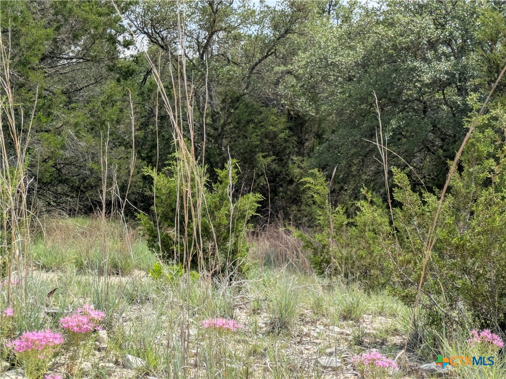 1 County Road 4390 Kempner, TX 76539 - Photo 11 of 12 a view of a garden