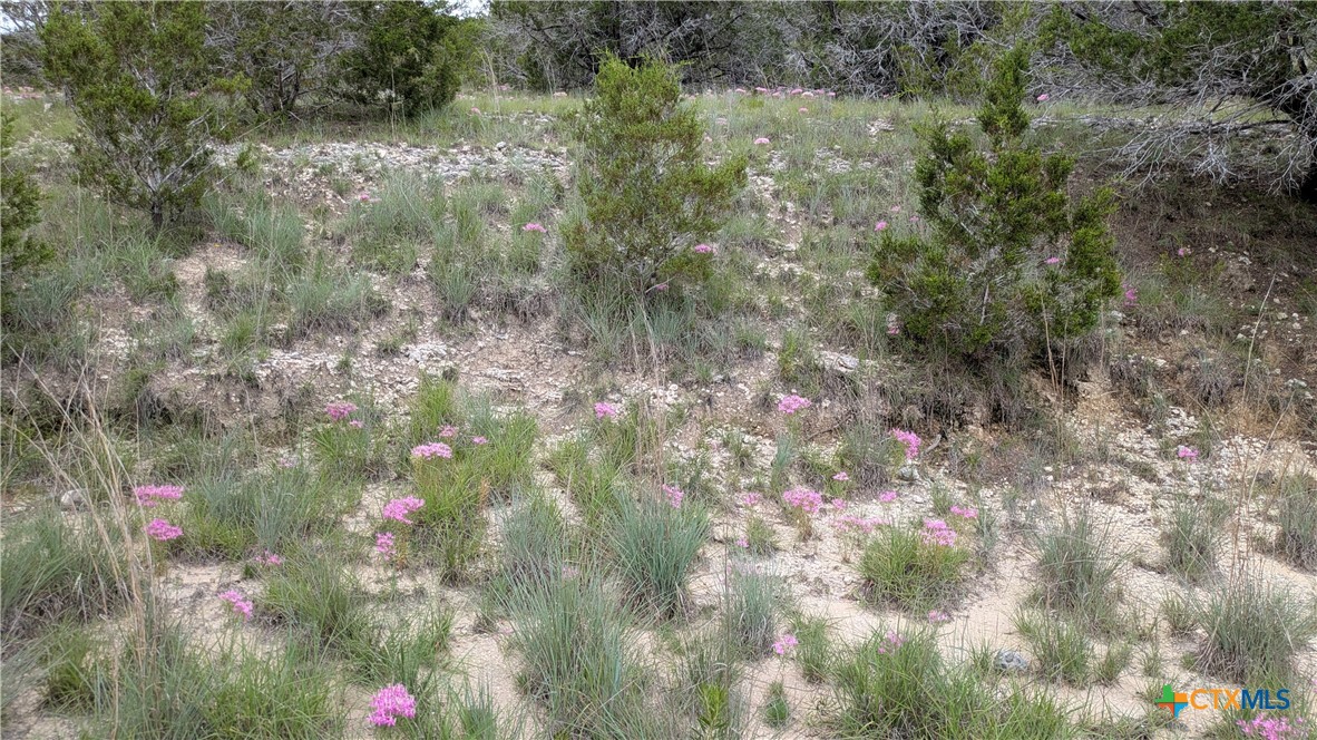 1 County Road 4390 Kempner, TX 76539 - Photo 12 of 12