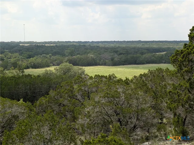 a view of a green field with lots of bushes