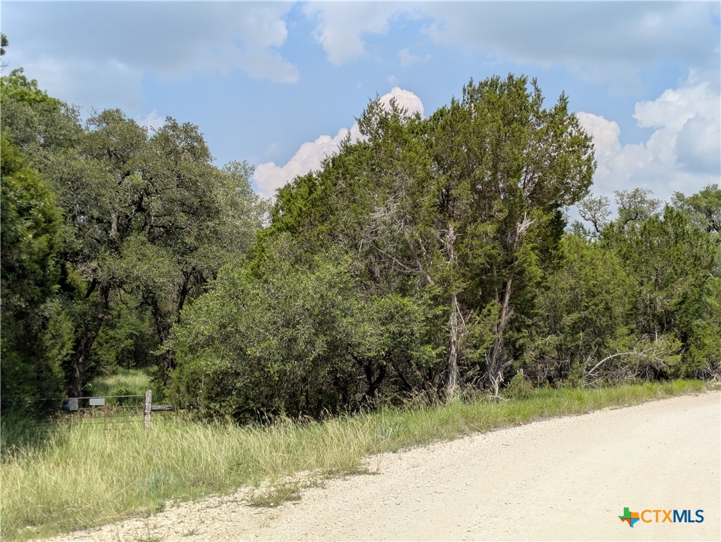 1 County Road 4390 Kempner, TX 76539 - Photo 5 of 12 a view of a lake view
