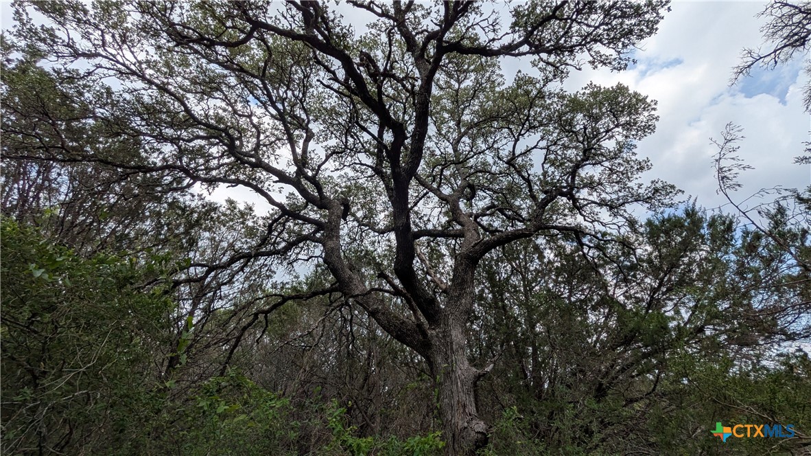 1 County Road 4390 Kempner, TX 76539 - Photo 10 of 12