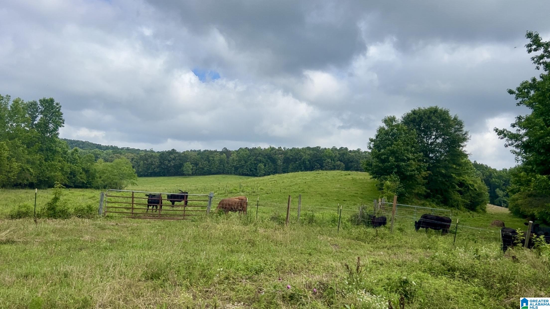 988 Mines Road, Unit 100 Ashland, AL 36251 - Photo 6 of 17