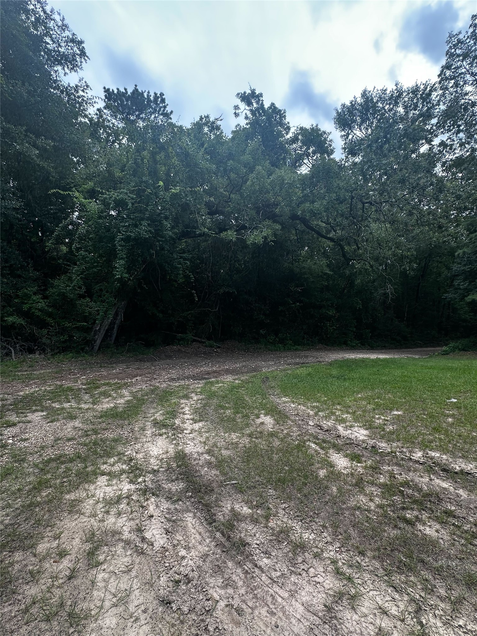 Tbd Old Israel Road Livingston, TX 77351 - Photo 5 of 8