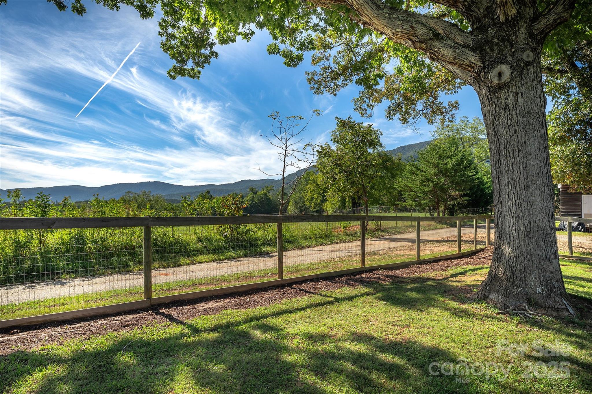 1434 Lake Adger Road Mill Spring, NC 28756 - Photo 21 of 48 a view of a yard with large trees