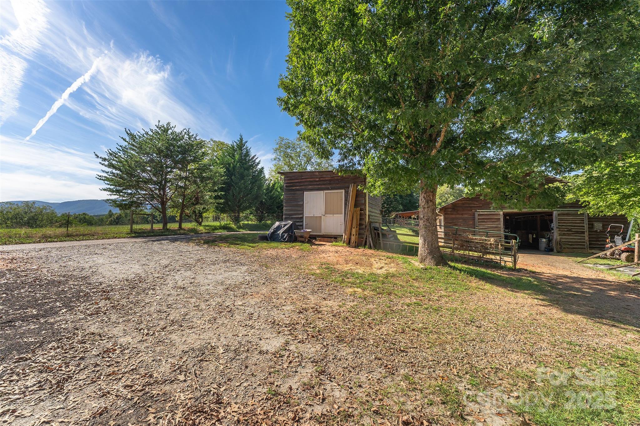 1434 Lake Adger Road Mill Spring, NC 28756 - Photo 32 of 48 a view of a backyard with plants and a large tree