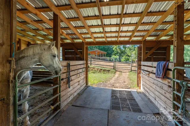 a view of a bench in the garden