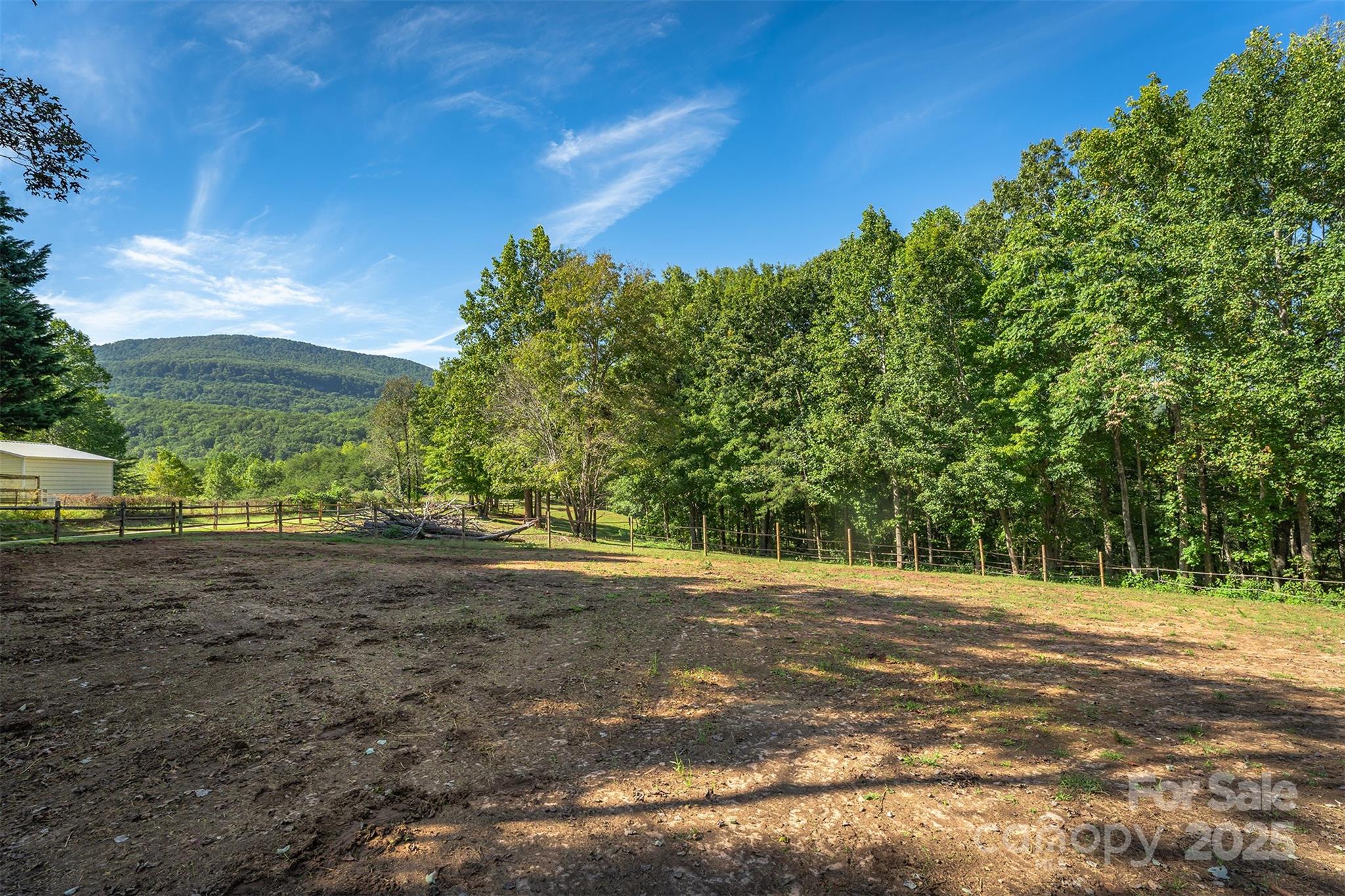 1434 Lake Adger Road Mill Spring, NC 28756 - Photo 40 of 48 a backyard of a house with lots of green space