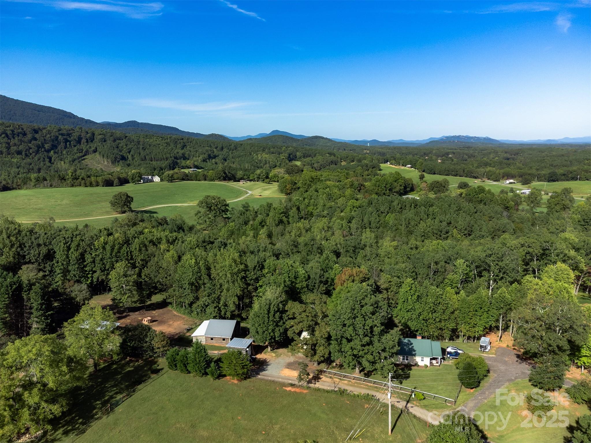 1434 Lake Adger Road Mill Spring, NC 28756 - Photo 44 of 48 a view of a city with lush green forest