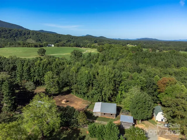 an aerial view of green landscape with trees houses and mountain view