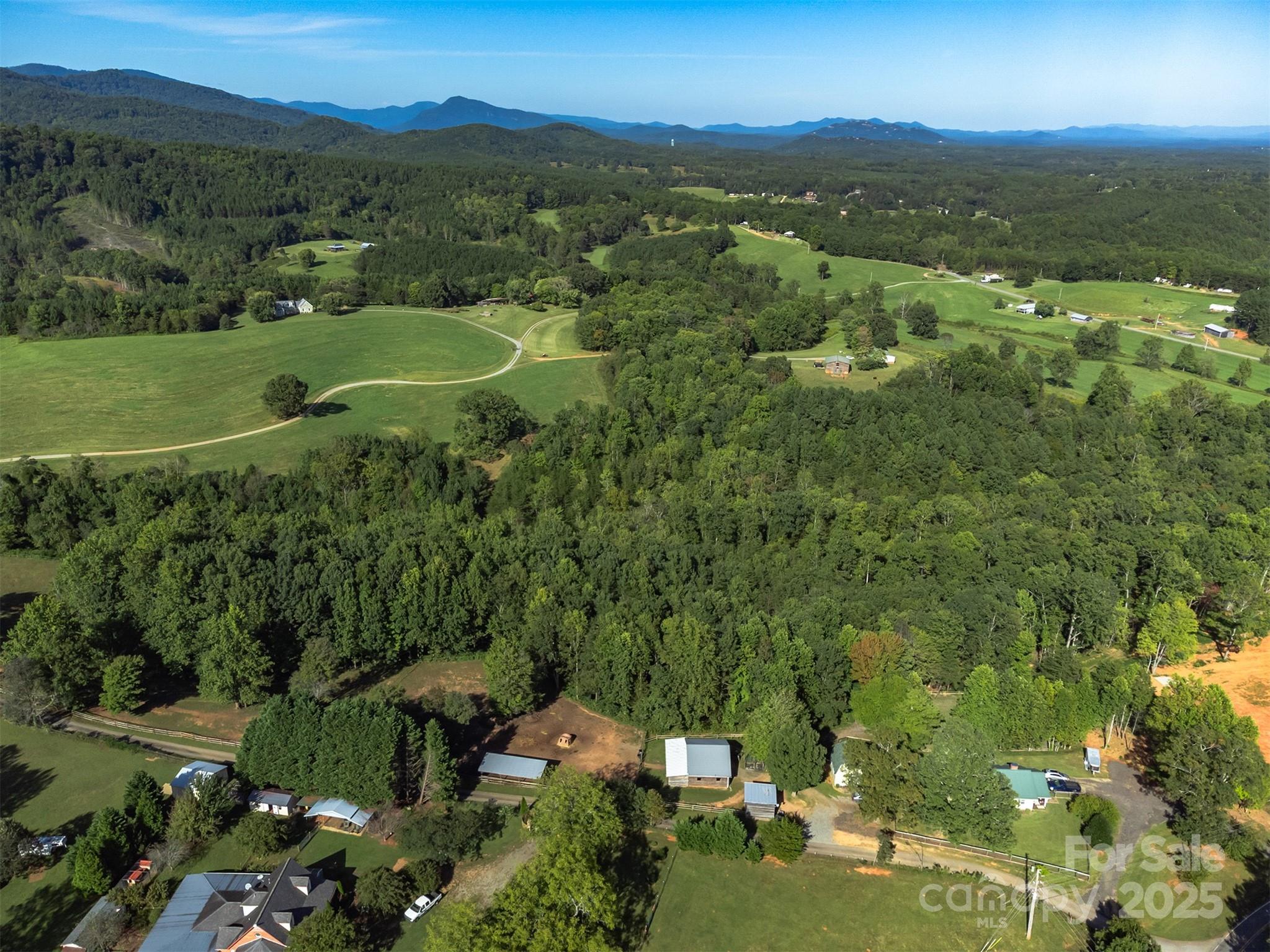 1434 Lake Adger Road Mill Spring, NC 28756 - Photo 47 of 48 an aerial view of green landscape with trees houses and mountain view