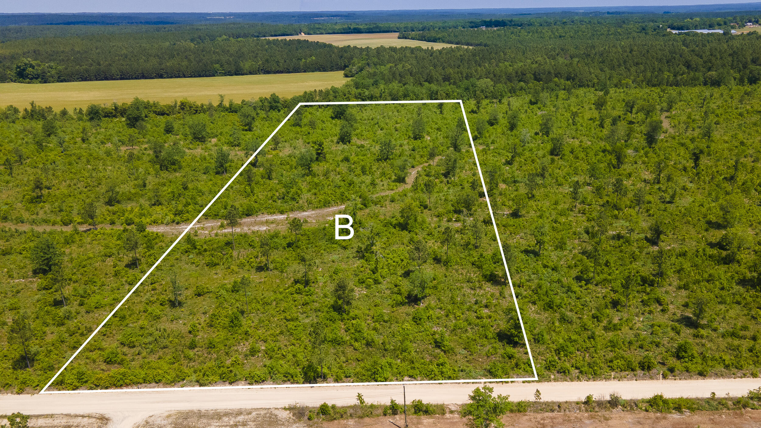 Lot 12 Old Shoals Road Road Monetta, SC 29105 - Photo 1 of 4
