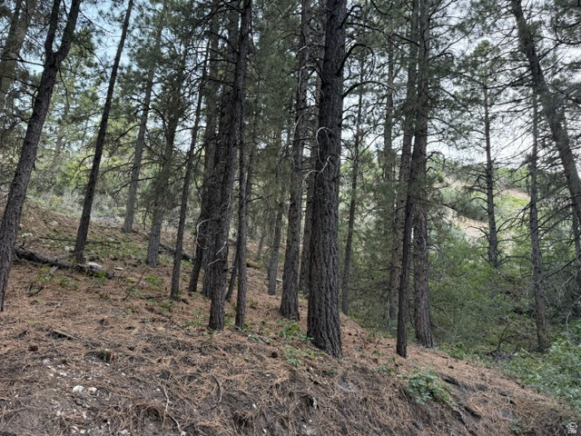 137 North Kolob Road, Unit 36 Springdale, UT 84767 - Photo 14 of 19