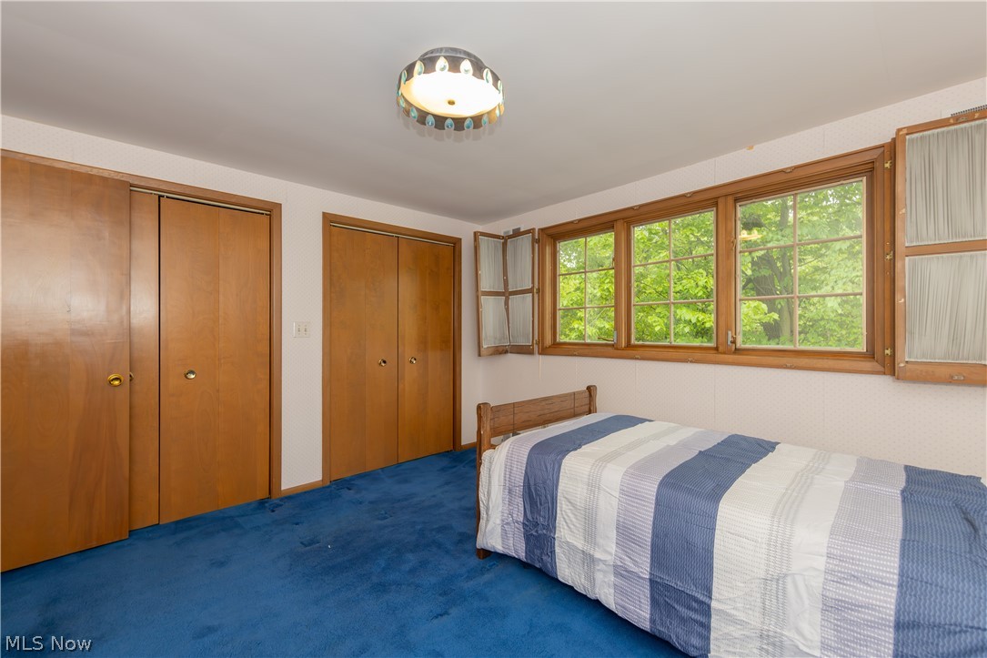 25001 Letchworth Road Beachwood, OH 44122 - Photo 32 of 50 Wood-frame casement windows, two sets of bi-fold closets with wood doors, blue carpeting, and a ceiling-mounted light fixture
