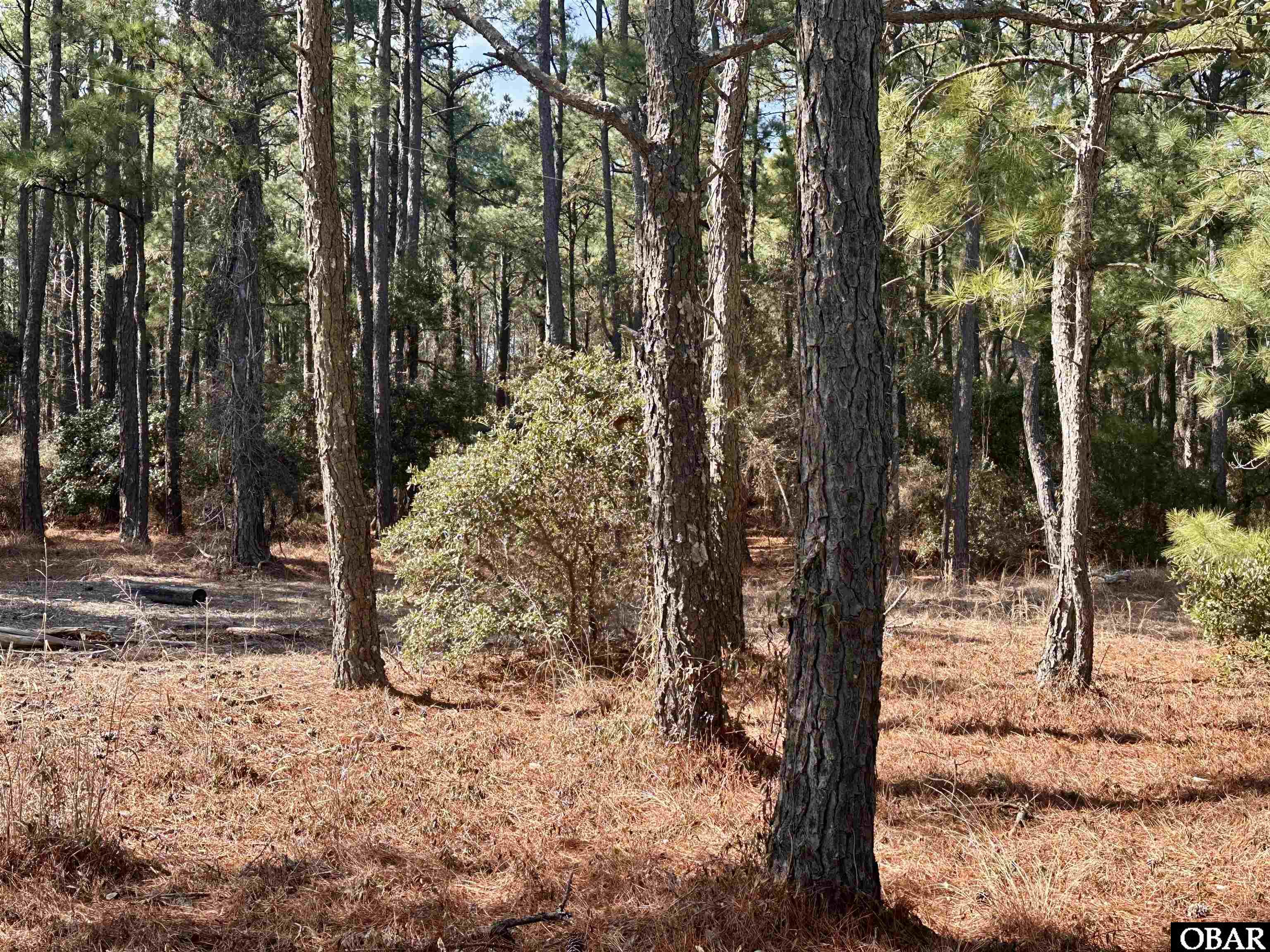 2324 Ocean Pearl Road Corolla, NC 27927 - Photo 7 of 25