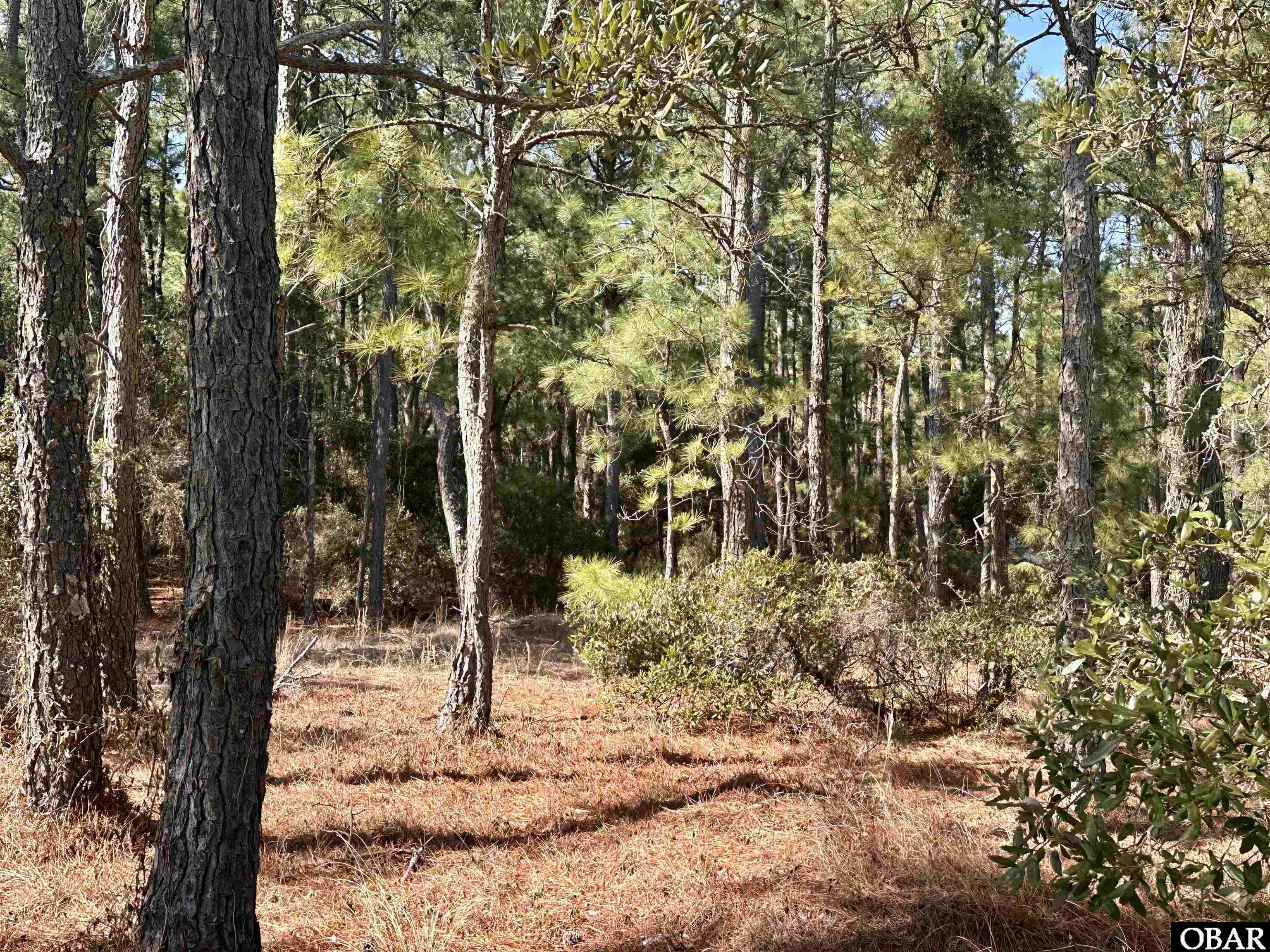 2324 Ocean Pearl Road Corolla, NC 27927 - Photo 8 of 25