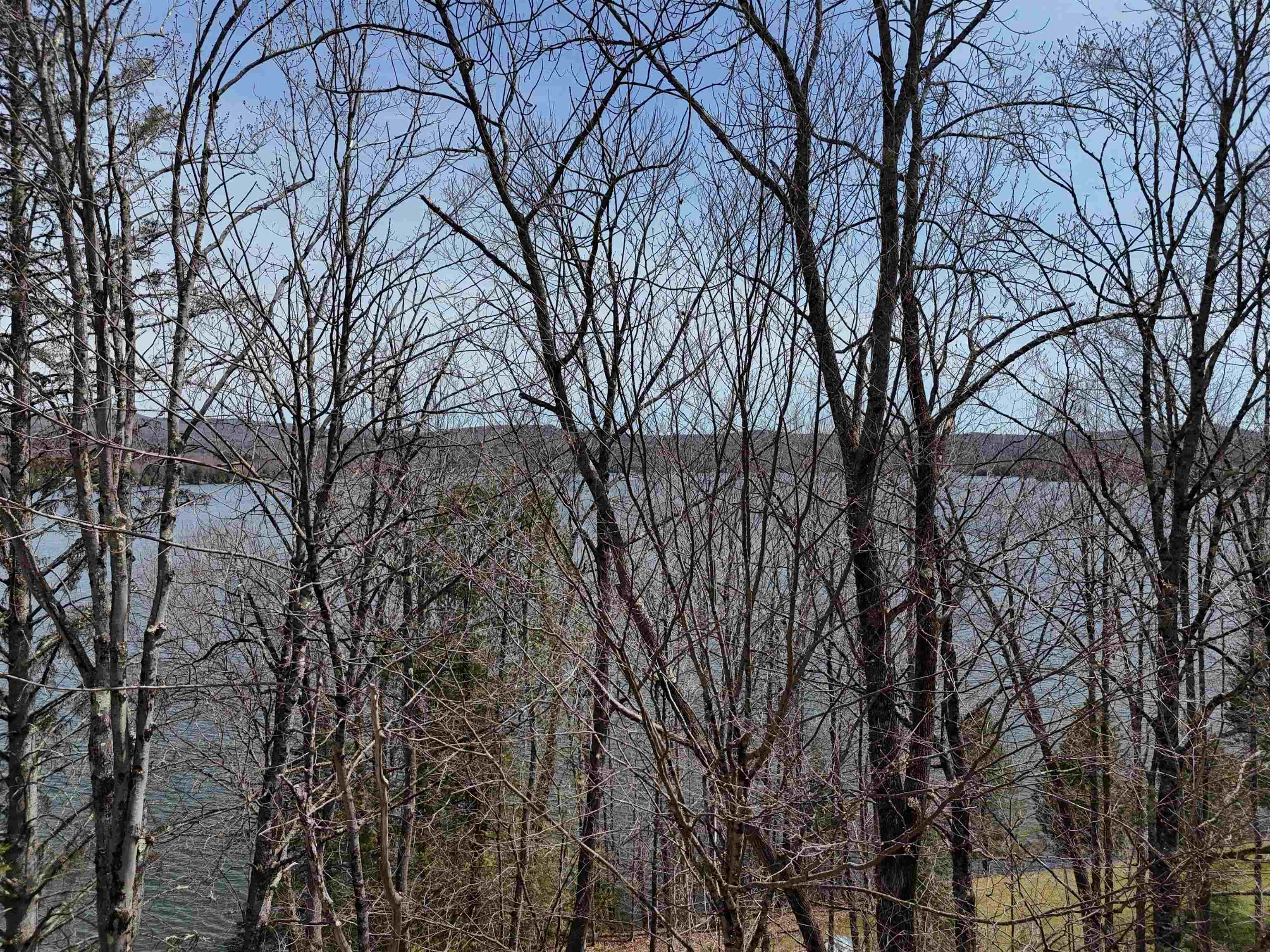0 Morgan Charleston Road West Charleston, VT 05872 - Photo 5 of 10