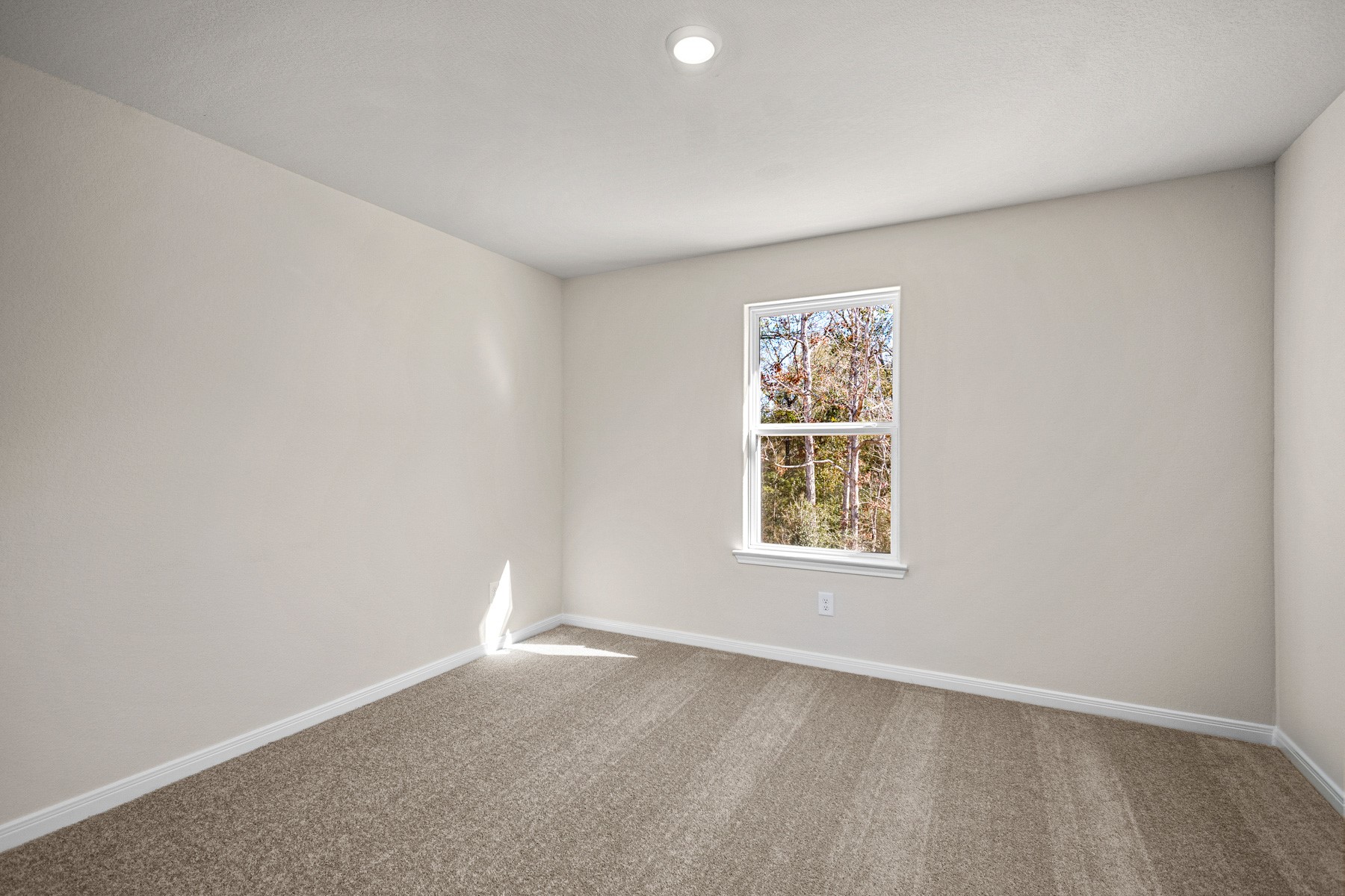 340 Fastboy Lane Waller, TX 77484 - Photo 17 of 22