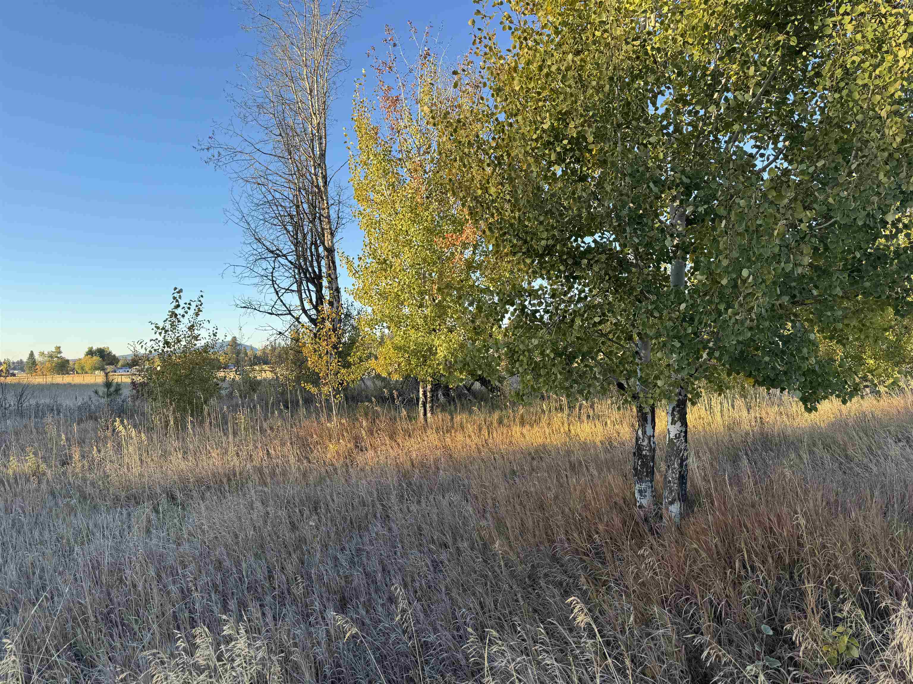 Xx Mason Road, Unit LOT 4 Clayton, WA 99110 - Photo 4 of 7 Gallery Image 4