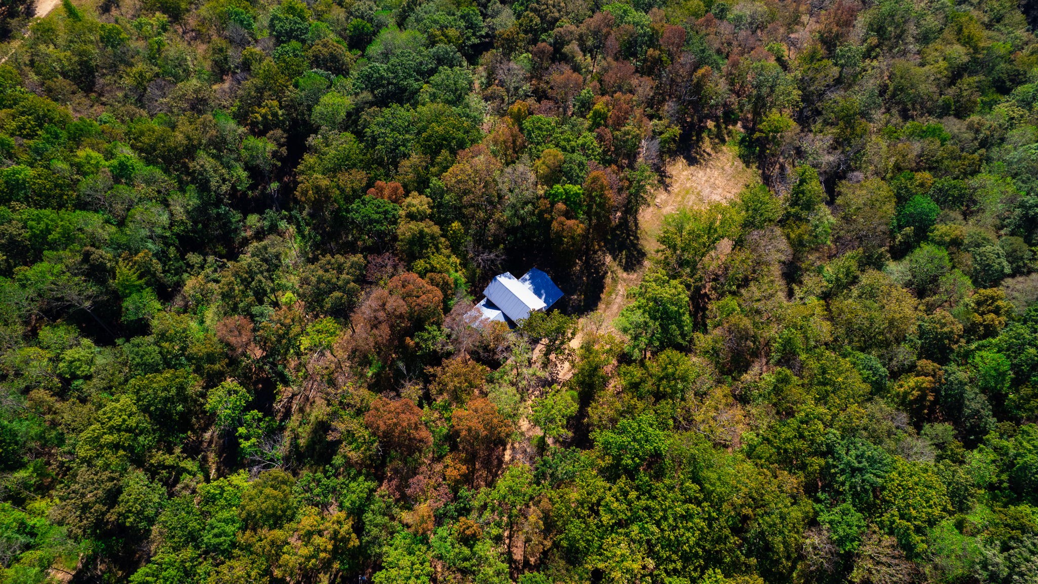 234 Bazzie Dock Road Dover, TN 37058 - Photo 11 of 47 a view of a city