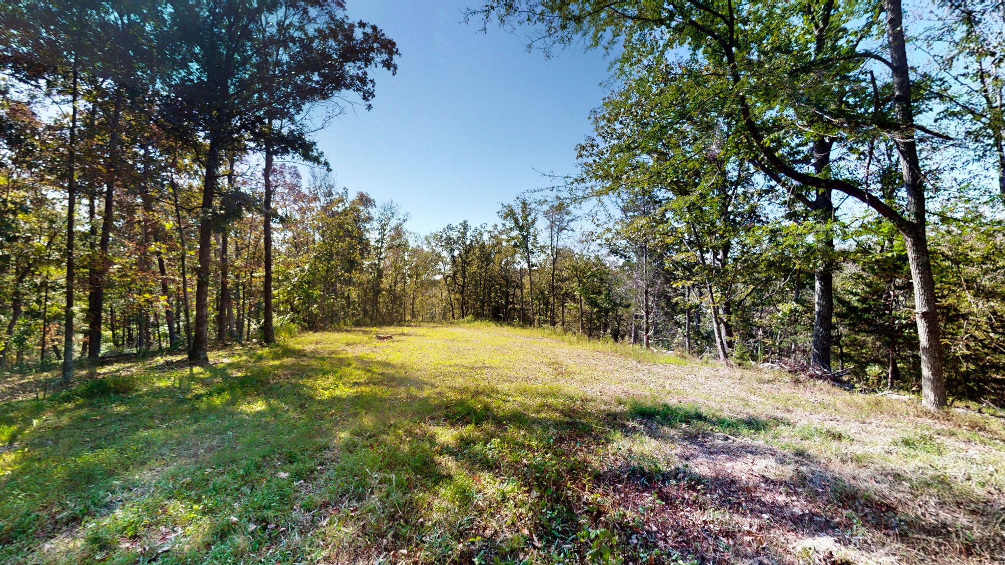 234 Bazzie Dock Road Dover, TN 37058 - Photo 14 of 47 a view of a yard with trees