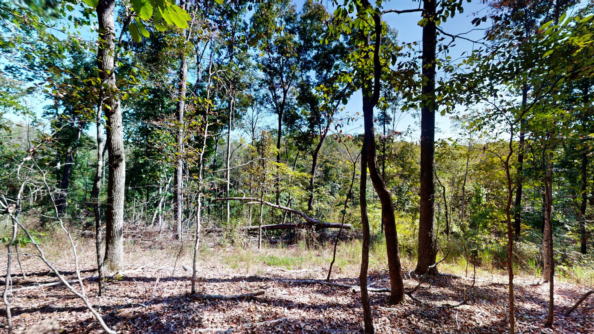 234 Bazzie Dock Road Dover, TN 37058 - Photo 17 of 47