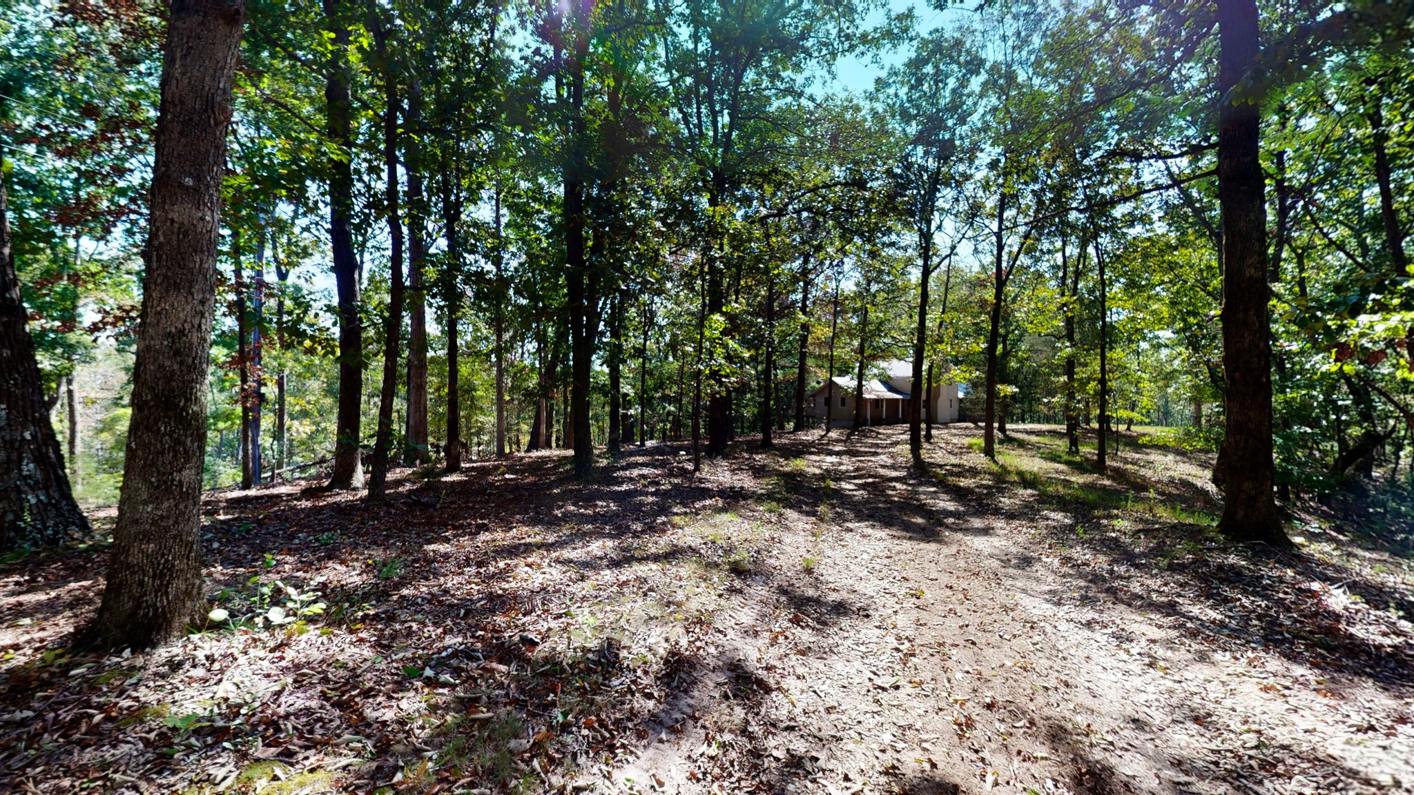 234 Bazzie Dock Road Dover, TN 37058 - Photo 19 of 47 a view of a forest with trees in the background