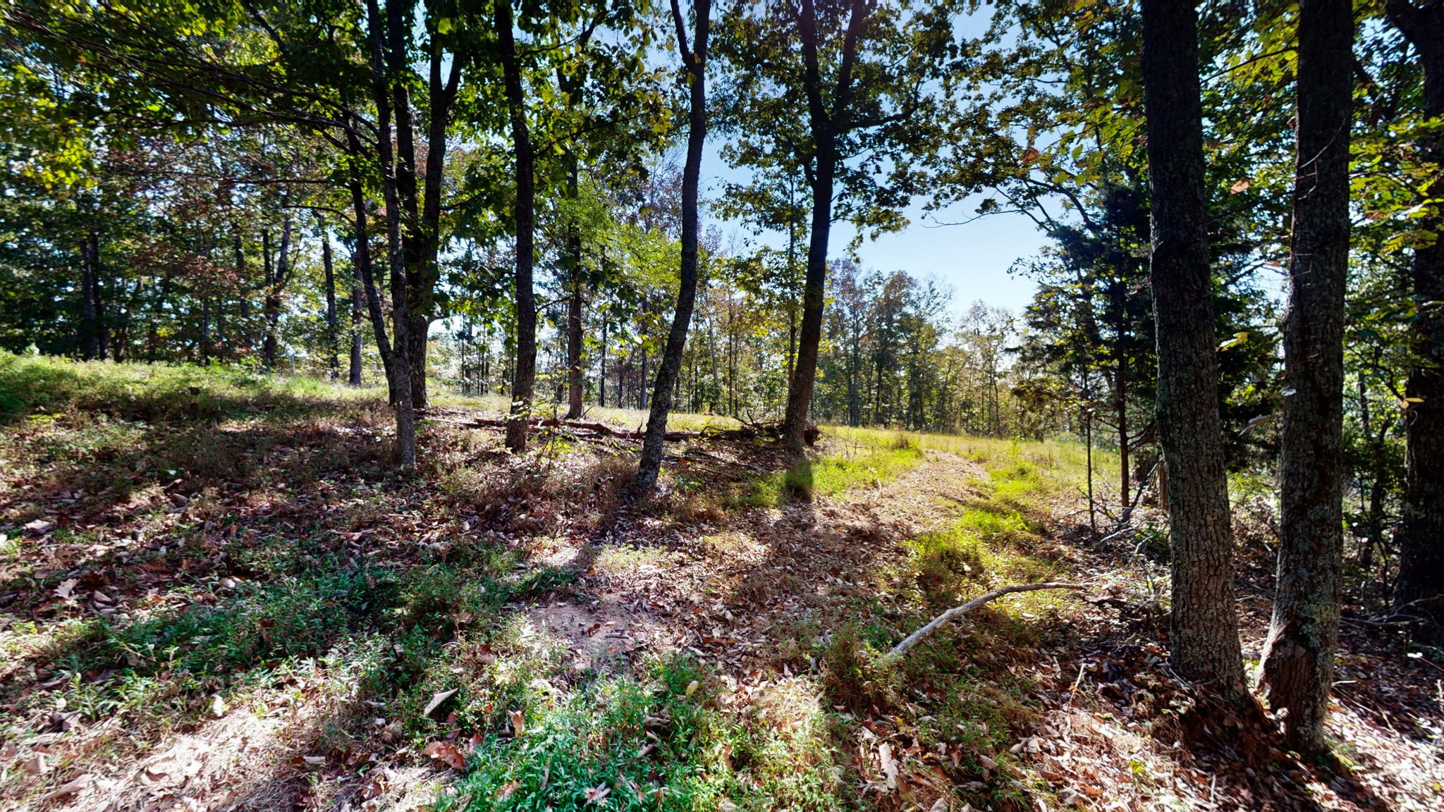 234 Bazzie Dock Road Dover, TN 37058 - Photo 20 of 47 a view of swimming pool with a tree