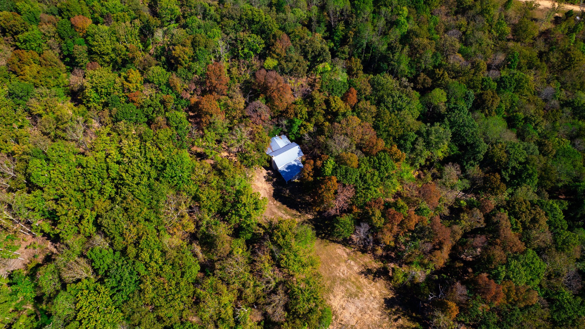 234 Bazzie Dock Road Dover, TN 37058 - Photo 22 of 47 a backyard of a house with a tree