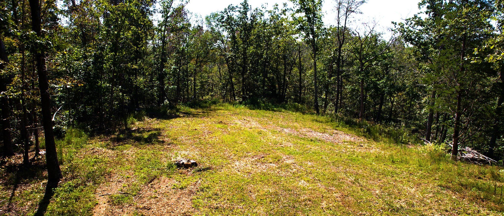 234 Bazzie Dock Road Dover, TN 37058 - Photo 25 of 47 a view of swimming pool