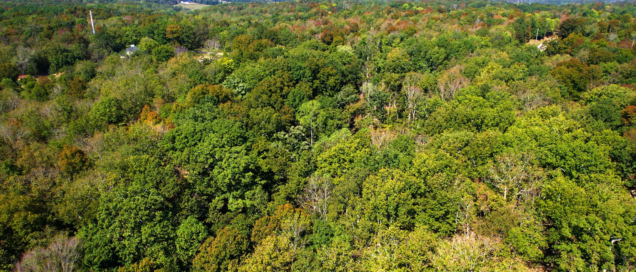 234 Bazzie Dock Road Dover, TN 37058 - Photo 26 of 47 a view of a lush green field