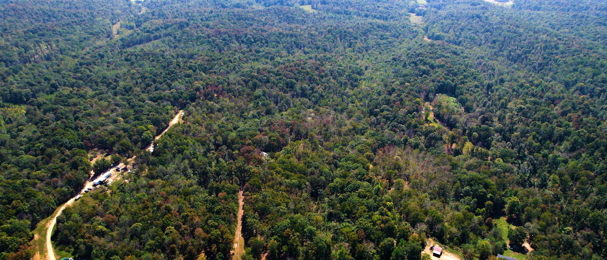 234 Bazzie Dock Road Dover, TN 37058 - Photo 27 of 47 a view of a forest with a tree