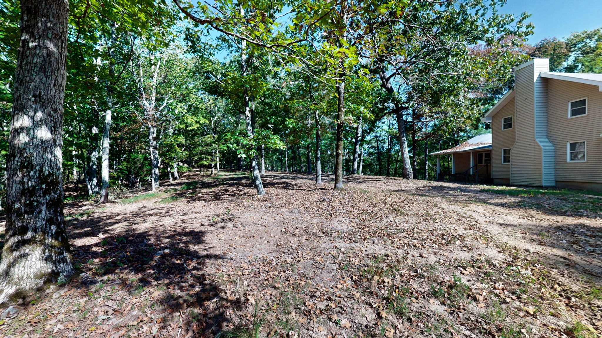 234 Bazzie Dock Road Dover, TN 37058 - Photo 6 of 47 a backyard of a house with lots of green space