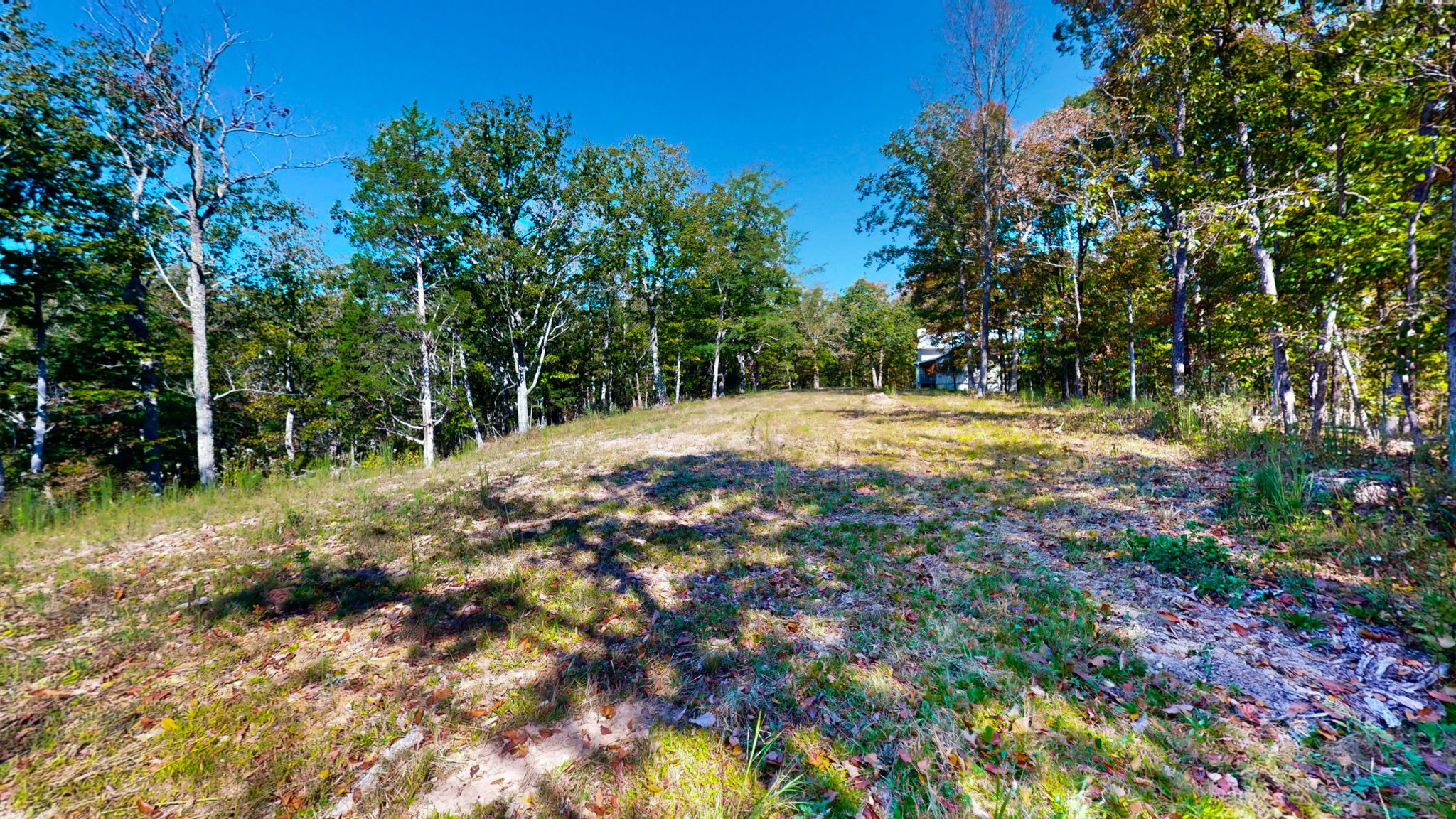 234 Bazzie Dock Road Dover, TN 37058 - Photo 10 of 47 a view of a yard with plants and trees
