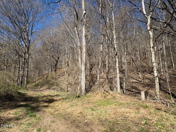 $59,000 | Tbd Clark Street, Saltville, VA 24370