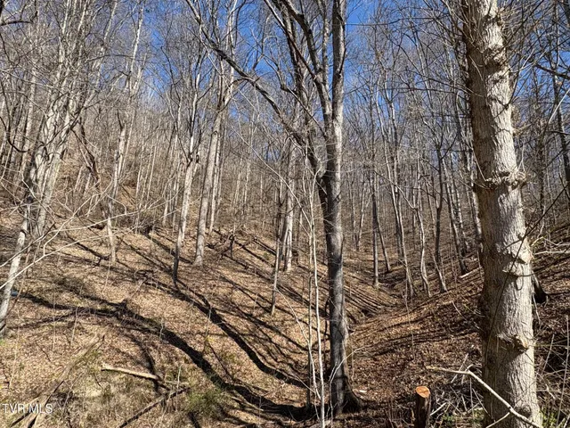 $59,000 | Tbd Clark Street, Saltville, VA 24370