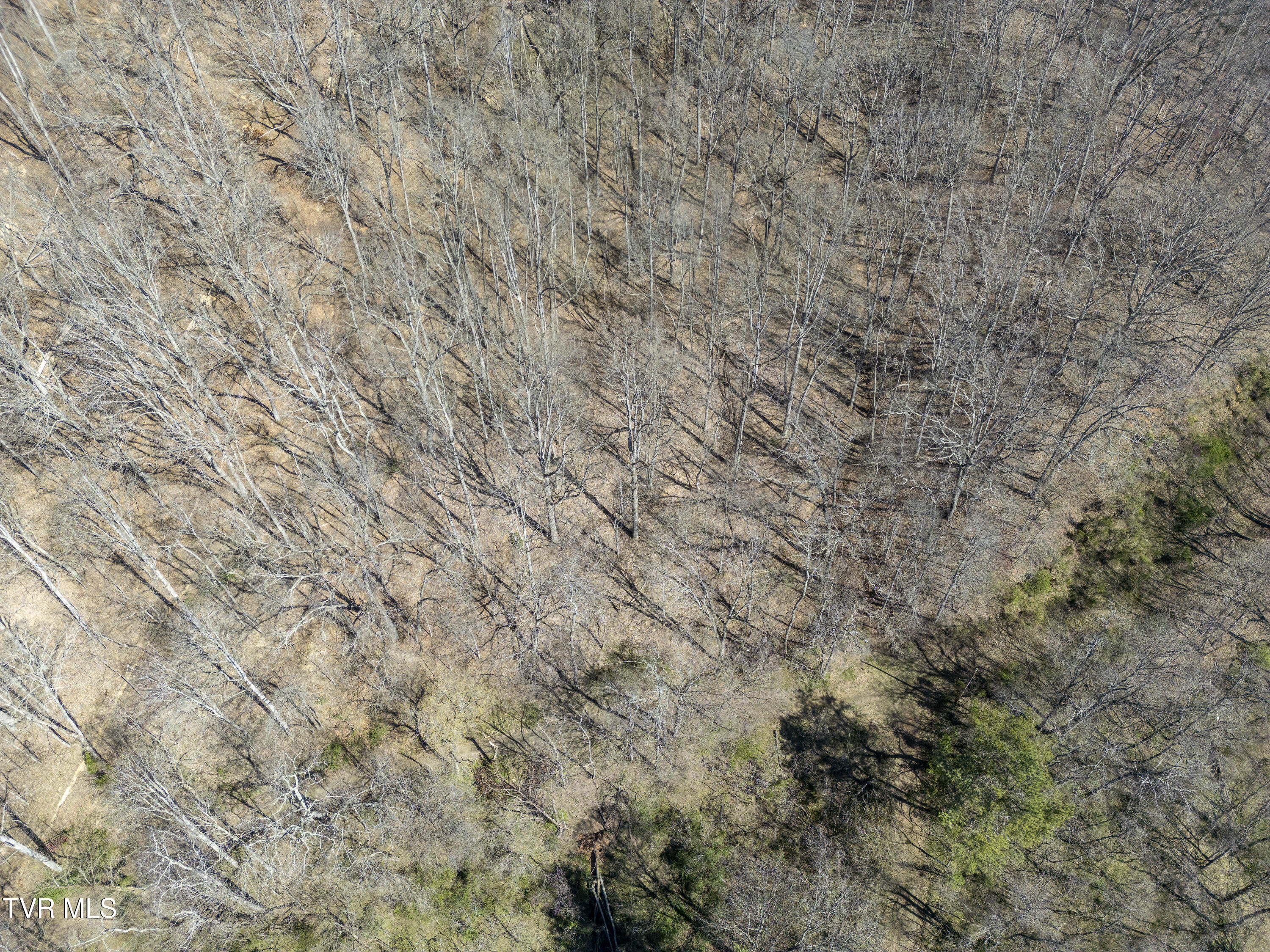 Tbd Clark Street Saltville, VA 24370 - Photo 5 of 6 TBD-Clark-St-Saltville-VA-8