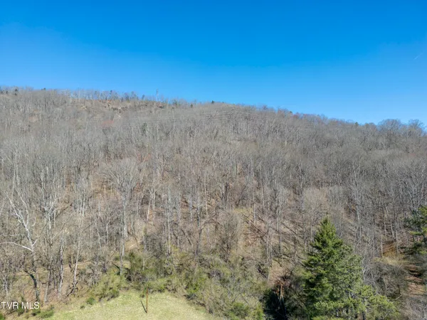 $59,000 | Tbd Clark Street, Saltville, VA 24370