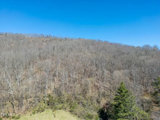 $59,000 | Tbd Clark Street, Saltville, VA 24370