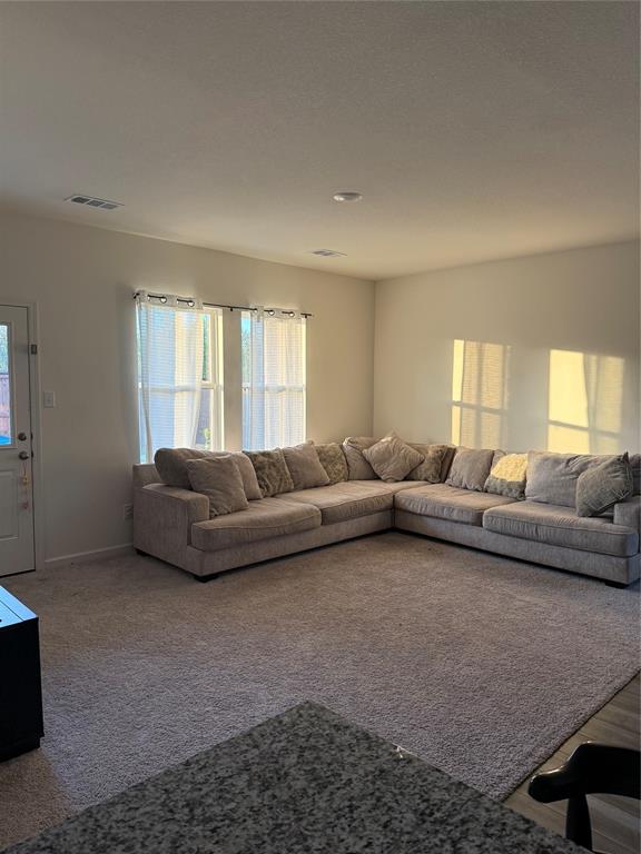 1852 McCree Street Forney, TX 75126 - Photo 15 of 21 a living room with a couch and a window