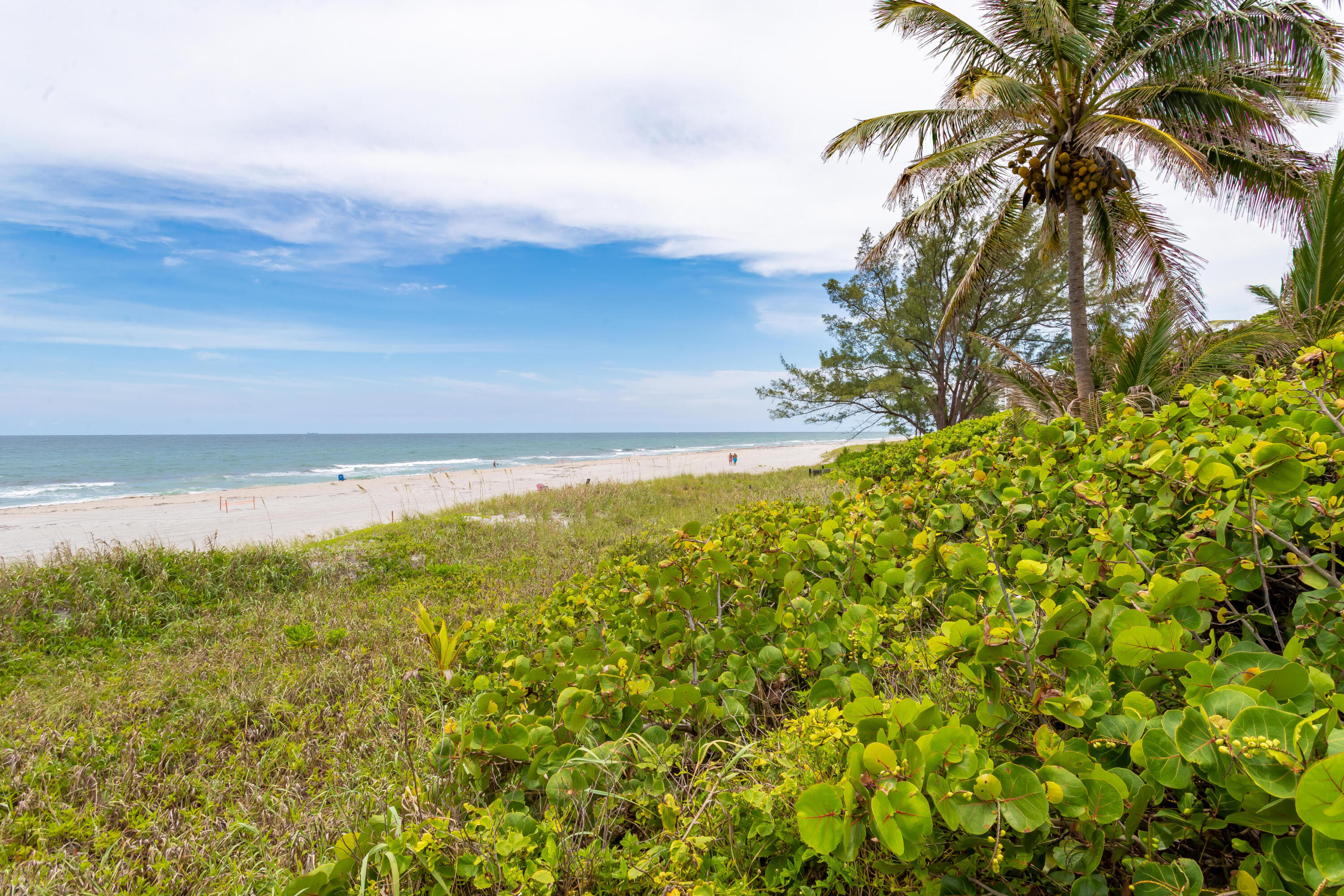 951 Sweetwater Lane Boca Raton, FL 33431 - Photo 64 of 69 951 Sweetwater Lane