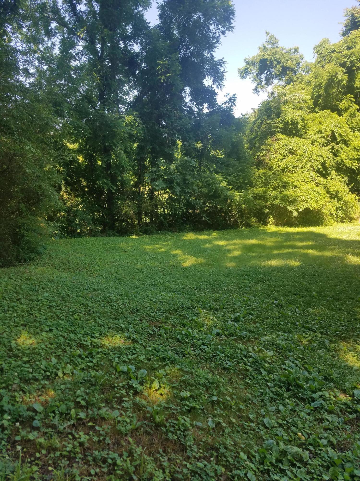 105 Miller Road Clinton, TN 37716 - Photo 8 of 15 20180604_102101