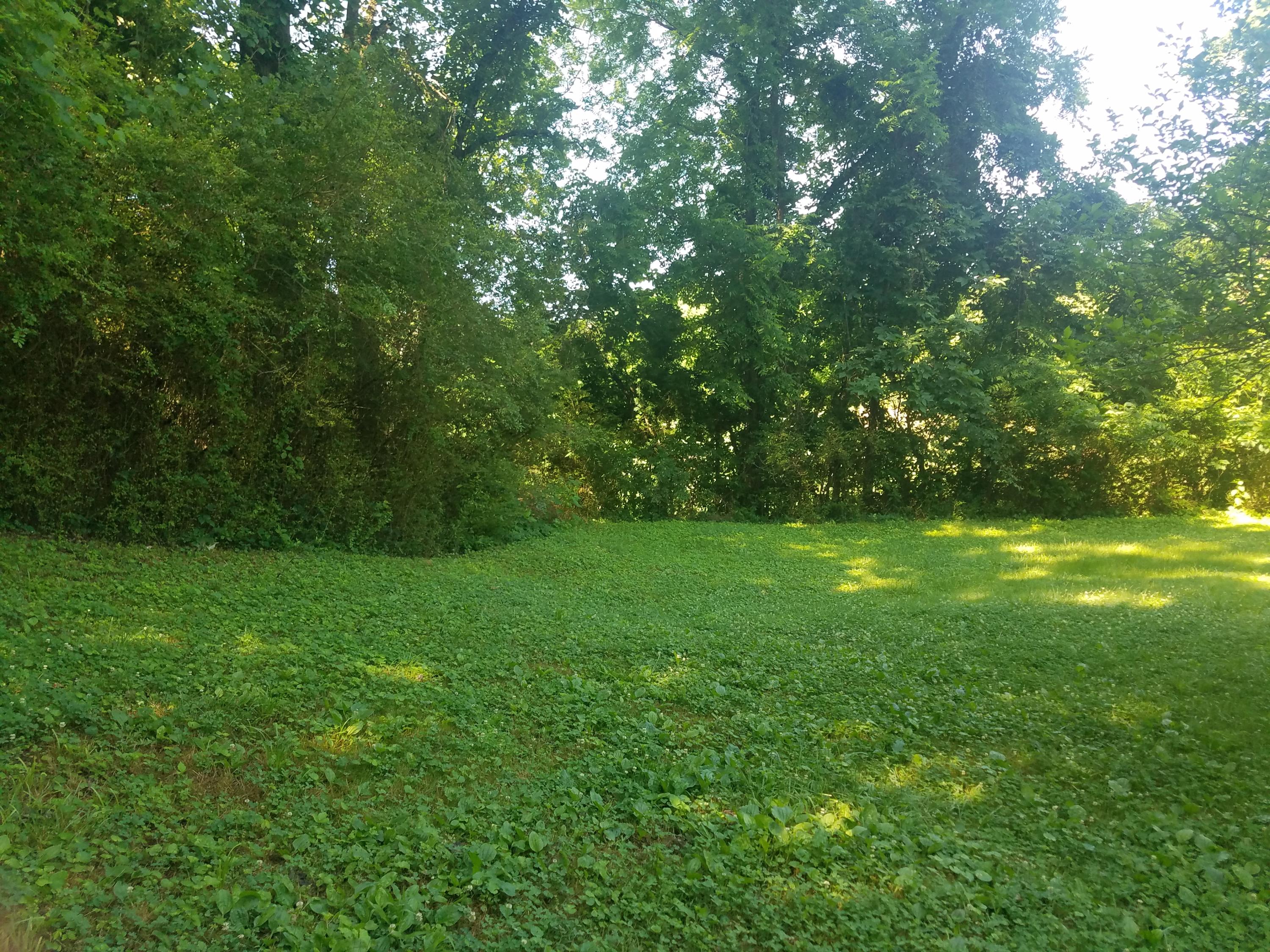 105 Miller Road Clinton, TN 37716 - Photo 9 of 15 20180604_102042